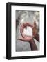 Hands Holding Rice-soupstock-Framed Photographic Print