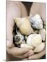 Wood Mount