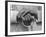 Hands of a Construction Worker, Mexico, 1926-Tina Modotti-Framed Photographic Print