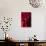 Hands of a Monk in Red Holding Prayer Beads, Leh, Ladakh, India-Ellen Clark-Photographic Print displayed on a wall