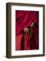 Hands of a Monk in Red Holding Prayer Beads, Leh, Ladakh, India-Ellen Clark-Framed Photographic Print