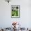 Hands of a Tea Picker Picking Tea in the Sri Lanka Central Highlands, Tea Country, Sri Lanka, Asia-Matthew Williams-Ellis-Framed Photographic Print displayed on a wall