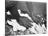 Hands of a Woman, Mexico, 1926-Tina Modotti-Stretched Canvas