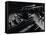 Hands of Jazz Pianist Eddie Heywood on Keyboard During Jam Session-Gjon Mili-Framed Stretched Canvas