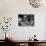 Hands of Percussionists Sam Borodkin Playing the Share Drum and Albert Rich Playing the Xylophone-Margaret Bourke-White-Stretched Canvas displayed on a wall