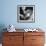 Hands of Sara Carter of the Legendary Carter Family Musicians, Fingering an Autoharp-Eric Schaal-Framed Premium Photographic Print displayed on a wall