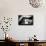 Hands on a Piano-Giuseppe Torre-Mounted Photographic Print displayed on a wall