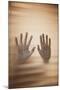 Hands on Glass-Steve Allsopp-Mounted Photographic Print