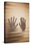 Hands on Glass-Steve Allsopp-Stretched Canvas