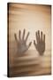 Hands on Glass-Steve Allsopp-Stretched Canvas