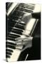 Hands on Piano Keyboard-null-Stretched Canvas