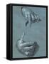 Hands, Two Studies, Chalk Drawing on Blue Paper-Albrecht Dürer-Framed Stretched Canvas