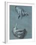 Hands, Two Studies, Chalk Drawing on Blue Paper-Albrecht Dürer-Framed Giclee Print