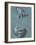 Hands, Two Studies, Chalk Drawing on Blue Paper-Albrecht Dürer-Framed Giclee Print