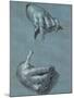 Hands, Two Studies, Chalk Drawing on Blue Paper-Albrecht Dürer-Mounted Giclee Print