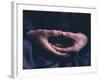 Hands, Za-Zen Meditation, Elheiji (Eiheiji) Zen Monastery, Japan, Asia-Ursula Gahwiler-Framed Photographic Print