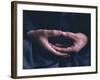 Hands, Za-Zen Meditation, Elheiji (Eiheiji) Zen Monastery, Japan, Asia-Ursula Gahwiler-Framed Photographic Print