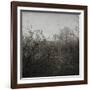 Hands-Tomislav Bogovic-Framed Photographic Print