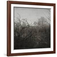 Hands-Tomislav Bogovic-Framed Photographic Print