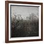 Hands-Tomislav Bogovic-Framed Photographic Print