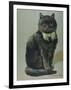 Handsome Black Cat Sir Thomas Mouser Sits Posed with a Green Ribbon Around His Neck-null-Framed Photographic Print