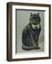 Handsome Black Cat Sir Thomas Mouser Sits Posed with a Green Ribbon Around His Neck-null-Framed Photographic Print