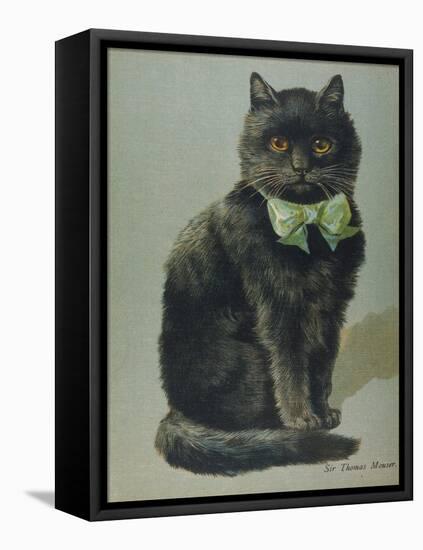 Handsome Black Cat Sir Thomas Mouser Sits Posed with a Green Ribbon Around His Neck-null-Framed Stretched Canvas