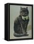 Handsome Black Cat Sir Thomas Mouser Sits Posed with a Green Ribbon Around His Neck-null-Framed Stretched Canvas