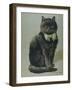 Handsome Black Cat Sir Thomas Mouser Sits Posed with a Green Ribbon Around His Neck-null-Framed Photographic Print