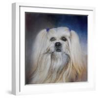 Handsome Lhasa Apso-Jai Johnson-Framed Giclee Print