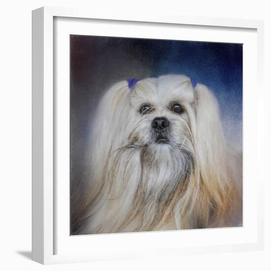 Handsome Lhasa Apso-Jai Johnson-Framed Giclee Print