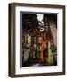 Handsome One-Cristina Carra Caso-Framed Photographic Print