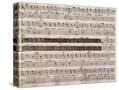 Stretched Canvas