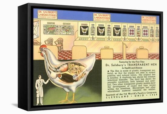 Handy Transparent Hen Model-null-Framed Stretched Canvas