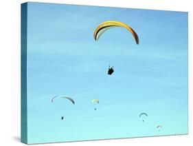 Hang Glider 10-Toula Mavridou-Messer-Stretched Canvas