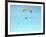 Hang Glider 10-Toula Mavridou-Messer-Framed Photographic Print