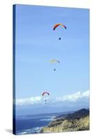 Hang Glider 6-Toula Mavridou-Messer-Stretched Canvas