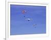 Hang Glider 9-Toula Mavridou-Messer-Framed Photographic Print