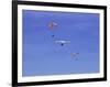 Hang Glider 9-Toula Mavridou-Messer-Framed Photographic Print