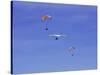 Hang Glider 9-Toula Mavridou-Messer-Stretched Canvas