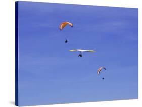 Hang Glider 9-Toula Mavridou-Messer-Stretched Canvas