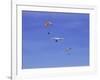 Hang Glider 9-Toula Mavridou-Messer-Framed Photographic Print