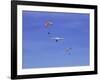 Hang Glider 9-Toula Mavridou-Messer-Framed Photographic Print