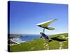 Hang Glider, Otago Peninsula, near Dunedin, South Island, New Zealand-David Wall-Stretched Canvas