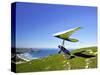 Hang Glider, Otago Peninsula, near Dunedin, South Island, New Zealand-David Wall-Stretched Canvas