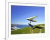 Hang Glider, Otago Peninsula, South Island, New Zealand-David Wall-Framed Photographic Print