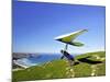 Hang Glider, Otago Peninsula, South Island, New Zealand-David Wall-Mounted Photographic Print