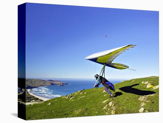 Hang Glider, Otago Peninsula, South Island, New Zealand-David Wall-Stretched Canvas