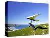 Hang Glider, Otago Peninsula, South Island, New Zealand-David Wall-Stretched Canvas