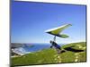 Hang Glider, Otago Peninsula, South Island, New Zealand-David Wall-Mounted Photographic Print